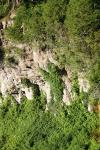<img100*0:stuff/z/169023/Rock%2520Face/i1278951597_12.jpg>