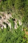 <img100*0:stuff/z/169023/Rock%2520Face/i1278951597_7.jpg>