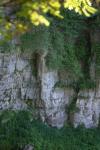 <img100*0:stuff/z/169023/Rock%2520Face/i1278951598_19.jpg>
