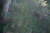 <img100*0:stuff/z/169023/Rock%2520Face/i1278951598_20.jpg>