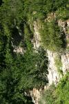 <img100*0:stuff/z/169023/Rock%2520Face/i1278951598_23.jpg>