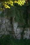 <img100*0:stuff/z/169023/Rock%2520Face/i1278951599_28.jpg>
