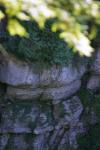 <img100*0:stuff/z/169023/Rock%2520Face/i1278951599_31.jpg>