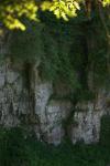<img100*0:stuff/z/169023/Rock%2520Face/i1278951599_33.jpg>