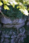 <img100*0:stuff/z/169023/Rock%2520Face/i1278951600_36.jpg>