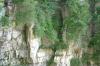 <img100*0:stuff/z/169023/Rock%2520Face/i1278951600_39.jpg>