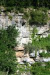 <img100*0:stuff/z/169023/Rock%2520Face/i1278951600_41.jpg>