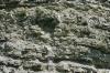 <img100*0:stuff/z/169023/Rock%2520Face2/i1279823053_1.jpg>