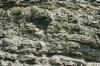 <img100*0:stuff/z/169023/Rock%2520Face2/i1279823053_2.jpg>