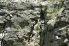 <img100*0:stuff/z/169023/Rock%2520Face2/i1279823053_3.jpg>