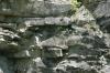 <img100*0:stuff/z/169023/Rock%2520Face2/i1279823054_10.jpg>