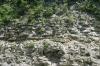 <img100*0:stuff/z/169023/Rock%2520Face2/i1279823054_13.jpg>