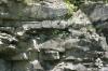 <img100*0:stuff/z/169023/Rock%2520Face2/i1279823054_16.jpg>
