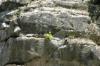 <img100*0:stuff/z/169023/Rock%2520Face2/i1279823054_21.jpg>