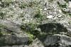 <img100*0:stuff/z/169023/Rock%2520Face2/i1279823054_22.jpg>