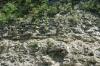<img100*0:stuff/z/169023/Rock%2520Face2/i1279823054_25.jpg>