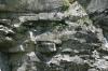 <img100*0:stuff/z/169023/Rock%2520Face2/i1279823054_4.jpg>