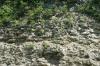 <img100*0:stuff/z/169023/Rock%2520Face2/i1279823054_7.jpg>