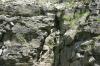 <img100*0:stuff/z/169023/Rock%2520Face2/i1279823054_9.jpg>