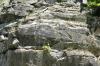 <img100*0:stuff/z/169023/Rock%2520Face2/i1279823055_27.jpg>