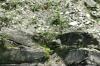 <img100*0:stuff/z/169023/Rock%2520Face2/i1279823055_28.jpg>