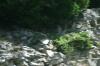 <img100*0:stuff/z/169023/Rock%2520Face2/i1279823055_30.jpg>