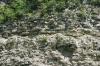 <img100*0:stuff/z/169023/Rock%2520Face2/i1279823055_31.jpg>