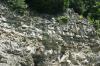 <img100*0:stuff/z/169023/Rock%2520Face2/i1279823055_35.jpg>