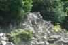 <img100*0:stuff/z/169023/Rock%2520Face2/i1279823055_36.jpg>