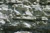 <img100*0:stuff/z/169023/Rock%2520Face2/i1279823055_40.jpg>