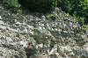 <img100*0:stuff/z/169023/Rock%2520Face2/i1279823055_41.jpg>