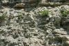 <img100*0:stuff/z/169023/Rock%2520Face3/i1279823389_1.jpg>