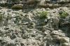 <img100*0:stuff/z/169023/Rock%2520Face3/i1279823389_2.jpg>