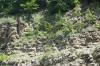 <img100*0:stuff/z/169023/Rock%2520Face3/i1279823390_10.jpg>