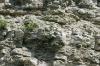<img100*0:stuff/z/169023/Rock%2520Face3/i1279823390_12.jpg>