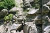 <img100*0:stuff/z/169023/Rock%2520Face3/i1279823390_3.jpg>