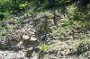 <img100*0:stuff/z/169023/Rock%2520Face3/i1279823390_5.jpg>