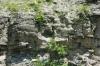 <img100*0:stuff/z/169023/Rock%2520Face3/i1279823390_6.jpg>