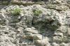 <img100*0:stuff/z/169023/Rock%2520Face3/i1279823390_7.jpg>