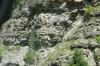 <img100*0:stuff/z/169023/Rock%2520Face3/i1279823390_9.jpg>