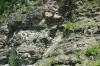 <img100*0:stuff/z/169023/Rock%2520Face3/i1279823391_14.jpg>