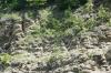 <img100*0:stuff/z/169023/Rock%2520Face3/i1279823391_15.jpg>