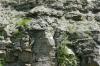 <img100*0:stuff/z/169023/Rock%2520Face3/i1279823391_16.jpg>