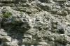 <img100*0:stuff/z/169023/Rock%2520Face3/i1279823391_17.jpg>