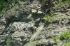 <img100*0:stuff/z/169023/Rock%2520Face3/i1279823391_19.jpg>