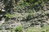 <img100*0:stuff/z/169023/Rock%2520Face3/i1279823391_20.jpg>