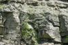 <img100*0:stuff/z/169023/Rock%2520Face3/i1279823391_21.jpg>