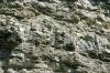 <img100*0:stuff/z/169023/Rock%2520Face3/i1279823391_22.jpg>