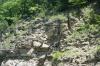 <img100*0:stuff/z/169023/Rock%2520Face3/i1279823392_24.jpg>
