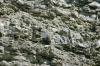 <img100*0:stuff/z/169023/Rock%2520Face3/i1279823392_26.jpg>